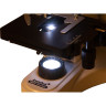 Микроскоп LEVENHUK MED 10B, бинокулярный 73984
